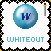 Whiteout Attack
